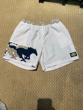 Slunks large 2 in 1 shorts